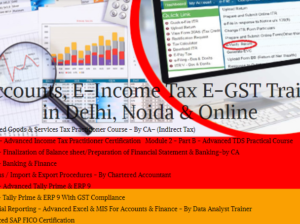 E-Accounting Course in Delhi, “Learn Direct Tax Code 2025” 110052